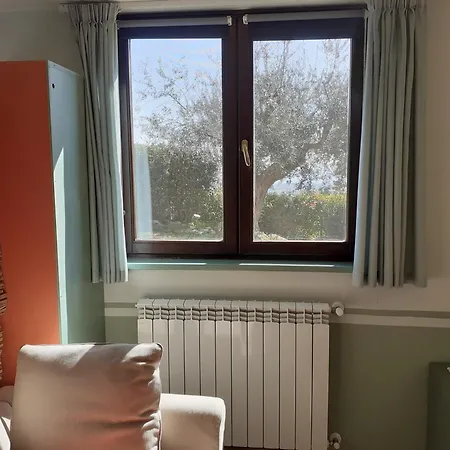 Tra Gli Ulivi 2 *