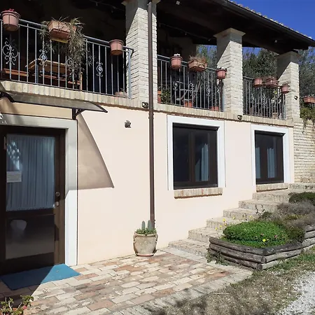 Tra Gli Ulivi 2